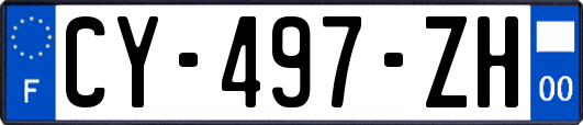 CY-497-ZH