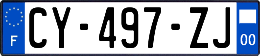 CY-497-ZJ
