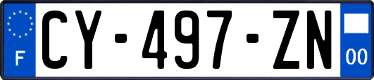 CY-497-ZN