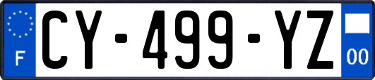 CY-499-YZ
