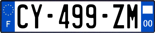 CY-499-ZM