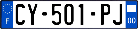 CY-501-PJ