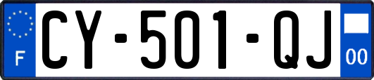 CY-501-QJ