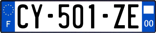 CY-501-ZE