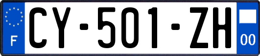 CY-501-ZH