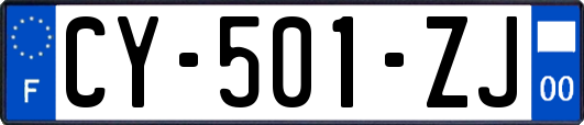 CY-501-ZJ