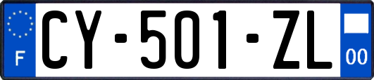 CY-501-ZL