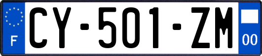 CY-501-ZM