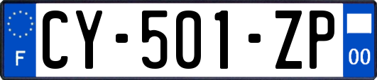 CY-501-ZP