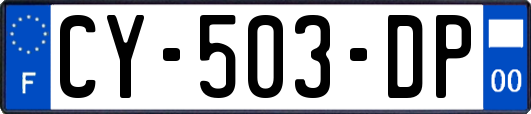 CY-503-DP
