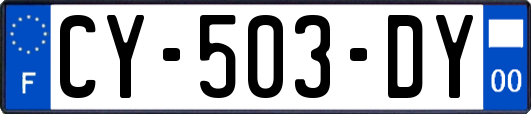 CY-503-DY