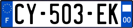 CY-503-EK