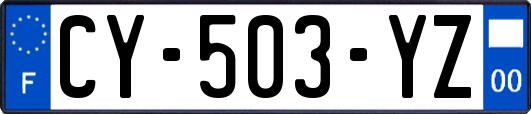 CY-503-YZ