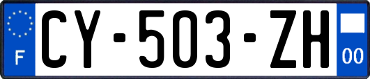 CY-503-ZH