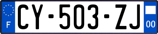 CY-503-ZJ