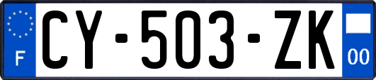 CY-503-ZK