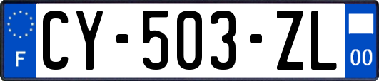CY-503-ZL