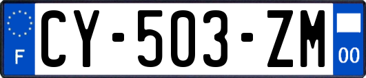 CY-503-ZM