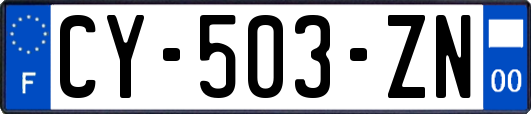 CY-503-ZN