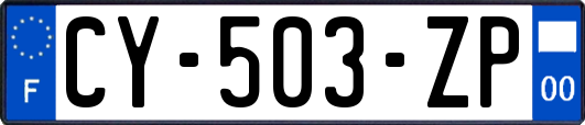 CY-503-ZP