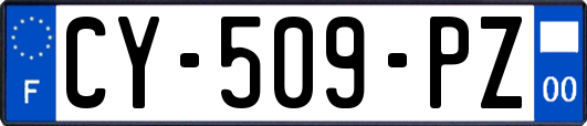 CY-509-PZ