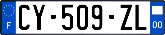 CY-509-ZL