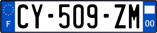 CY-509-ZM
