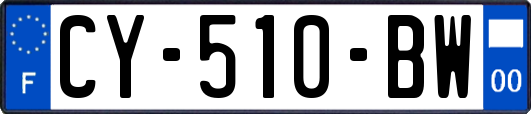 CY-510-BW