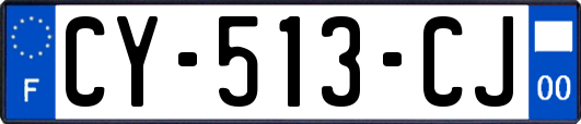 CY-513-CJ