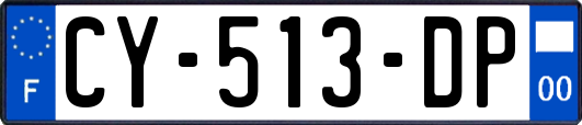 CY-513-DP