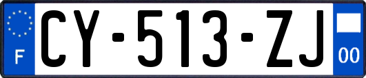 CY-513-ZJ