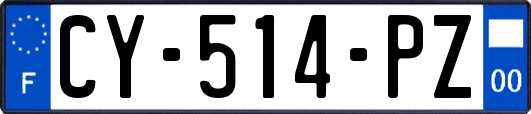 CY-514-PZ