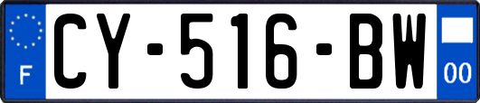 CY-516-BW