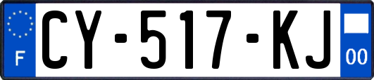 CY-517-KJ