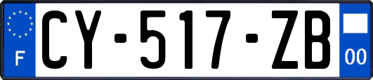 CY-517-ZB