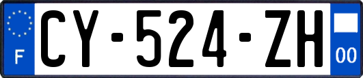 CY-524-ZH