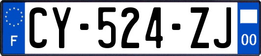 CY-524-ZJ