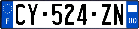CY-524-ZN