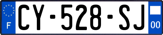 CY-528-SJ