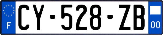 CY-528-ZB