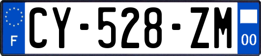 CY-528-ZM