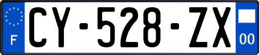 CY-528-ZX