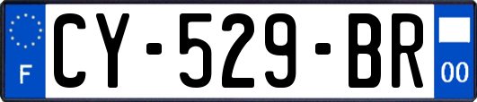 CY-529-BR