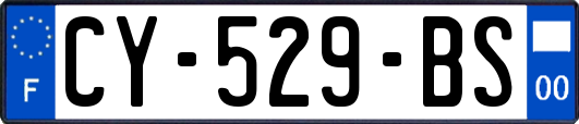 CY-529-BS