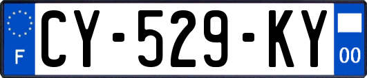 CY-529-KY