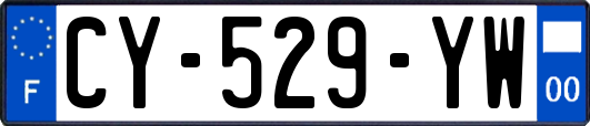 CY-529-YW