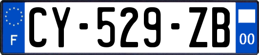 CY-529-ZB