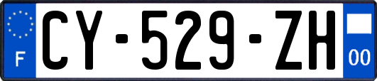 CY-529-ZH
