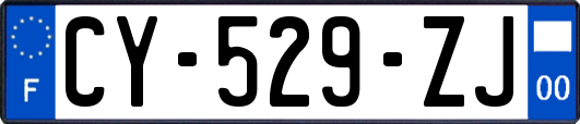 CY-529-ZJ