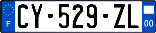 CY-529-ZL